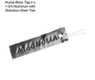 Aluma-Boss Tag 4\