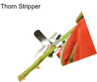 Thorn Stripper