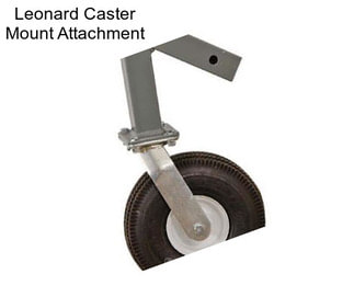 Leonard Caster Mount Attachment