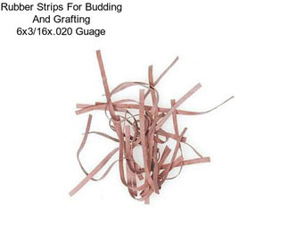 Rubber Strips For Budding And Grafting 6\