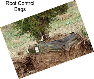 Root Control Bags