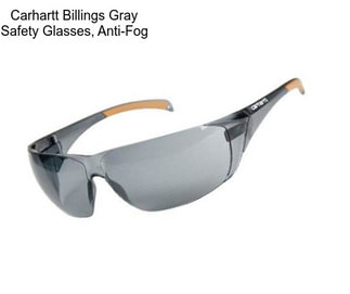 Carhartt Billings Gray Safety Glasses, Anti-Fog