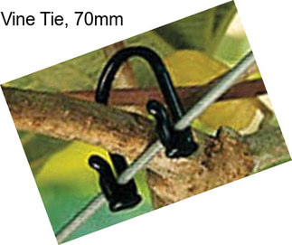 Vine Tie, 70mm