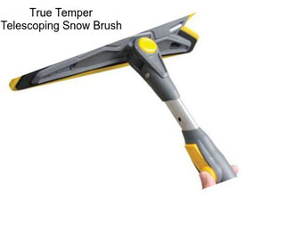 True Temper Telescoping Snow Brush