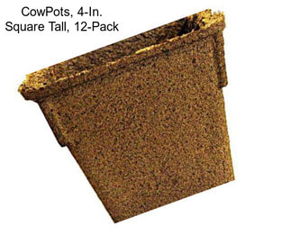 CowPots, 4-In. Square Tall, 12-Pack