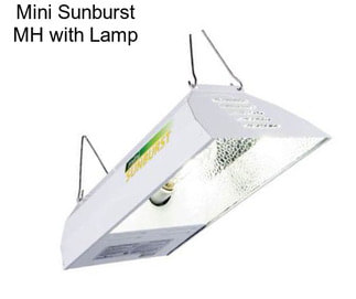 Mini Sunburst MH with Lamp