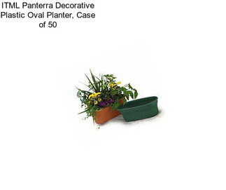 ITML Panterra Decorative Plastic Oval Planter, Case of 50