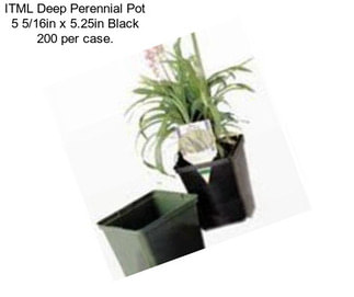 ITML Deep Perennial Pot 5 5/16in x 5.25in Black 200 per case.