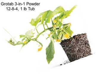 Grotab 3-in-1 Powder 12-8-4, 1 lb Tub