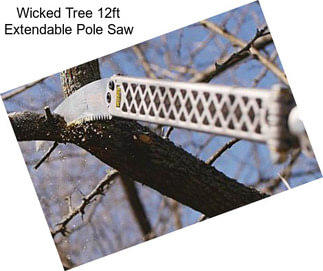 Wicked Tree 12ft Extendable Pole Saw