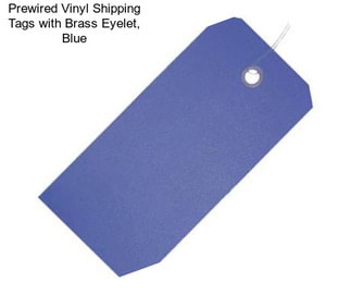 Prewired Vinyl Shipping Tags with Brass Eyelet, Blue