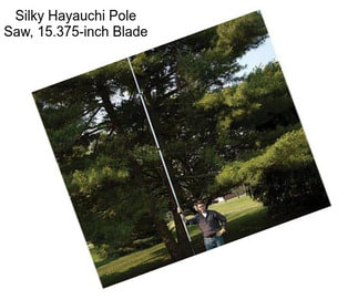 Silky Hayauchi Pole Saw, 15.375-inch Blade