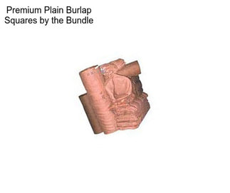 Premium Plain Burlap Squares by the Bundle