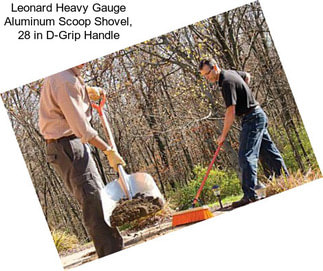 Leonard Heavy Gauge Aluminum Scoop Shovel, 28 in D-Grip Handle