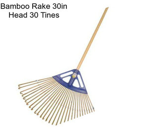 Bamboo Rake 30in Head 30 Tines