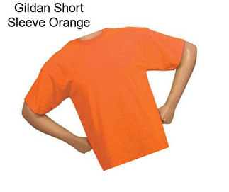 Gildan Short Sleeve Orange
