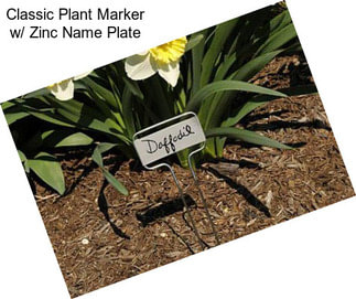 Classic Plant Marker w/ Zinc Name Plate