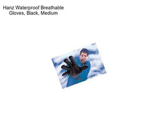 Hanz Waterproof Breathable Gloves, Black, Medium