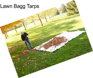 Lawn Bagg Tarps