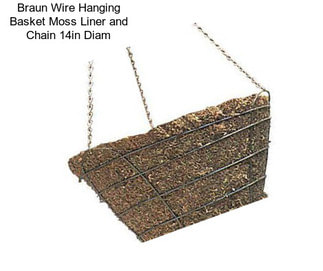 Braun Wire Hanging Basket Moss Liner and Chain 14in Diam