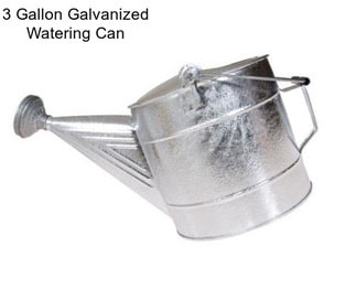 3 Gallon Galvanized Watering Can