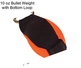 10 oz Bullet Weight with Bottom Loop