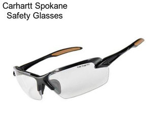 Carhartt Spokane Safety Glasses