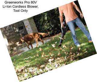 Greenworks Pro 80V Li-Ion Cordless Blower, Tool Only