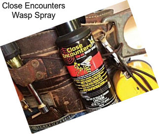 Close Encounters Wasp Spray