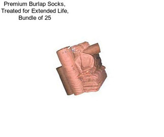 Premium Burlap Socks, Treated for Extended Life, Bundle of 25