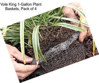 Vole King 1-Gallon Plant Baskets, Pack of 4