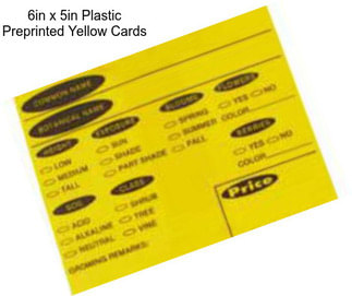 6in x 5in Plastic Preprinted Yellow Cards