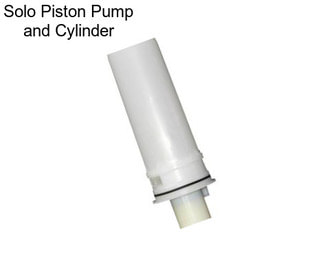 Solo Piston Pump and Cylinder