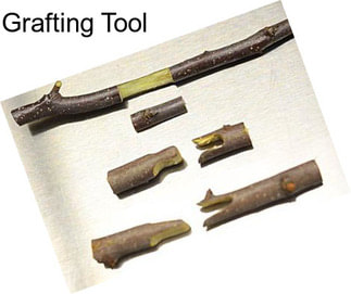 Grafting Tool