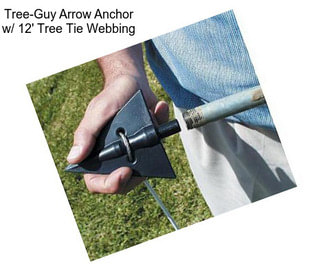 Tree-Guy Arrow Anchor w/ 12\' Tree Tie Webbing