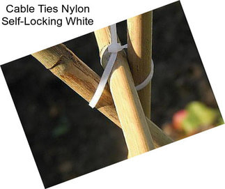 Cable Ties Nylon Self-Locking White