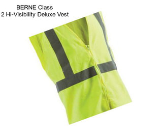 BERNE Class 2 Hi-Visibility Deluxe Vest