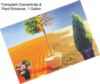 Transplant Concentrate & Plant Enhancer, 1 Gallon