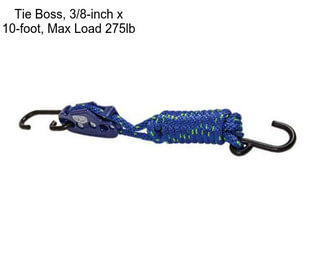 Tie Boss, 3/8-inch x 10-foot, Max Load 275lb