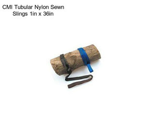 CMI Tubular Nylon Sewn Slings 1in x 36in