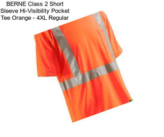 BERNE Class 2 Short Sleeve Hi-Visibility Pocket Tee Orange - 4XL Regular