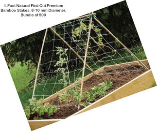 4-Foot Natural First Cut Premium Bamboo Stakes, 8-10 mm Diameter, Bundle of 500