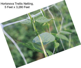 Hortonova Trellis Netting, 5 Feet x 3,280 Feet