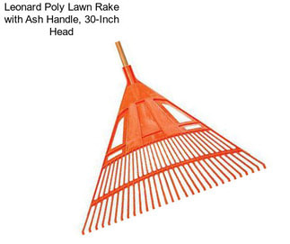 Leonard Poly Lawn Rake with Ash Handle, 30-Inch Head