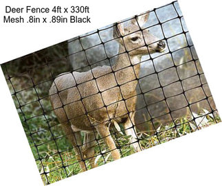 Deer Fence 4ft x 330ft Mesh .8in x .89in Black
