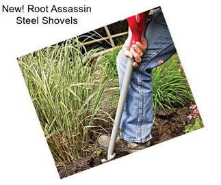 New! Root Assassin Steel Shovels