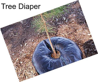 Tree Diaper