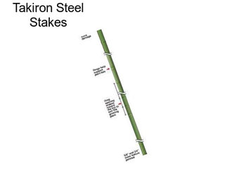 Takiron Steel Stakes