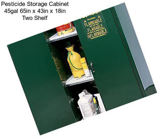 Pesticide Storage Cabinet 45gal 65in x 43in x 18in Two Shelf