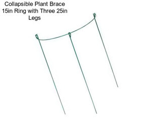 Collapsible Plant Brace 15in Ring with Three 25in Legs